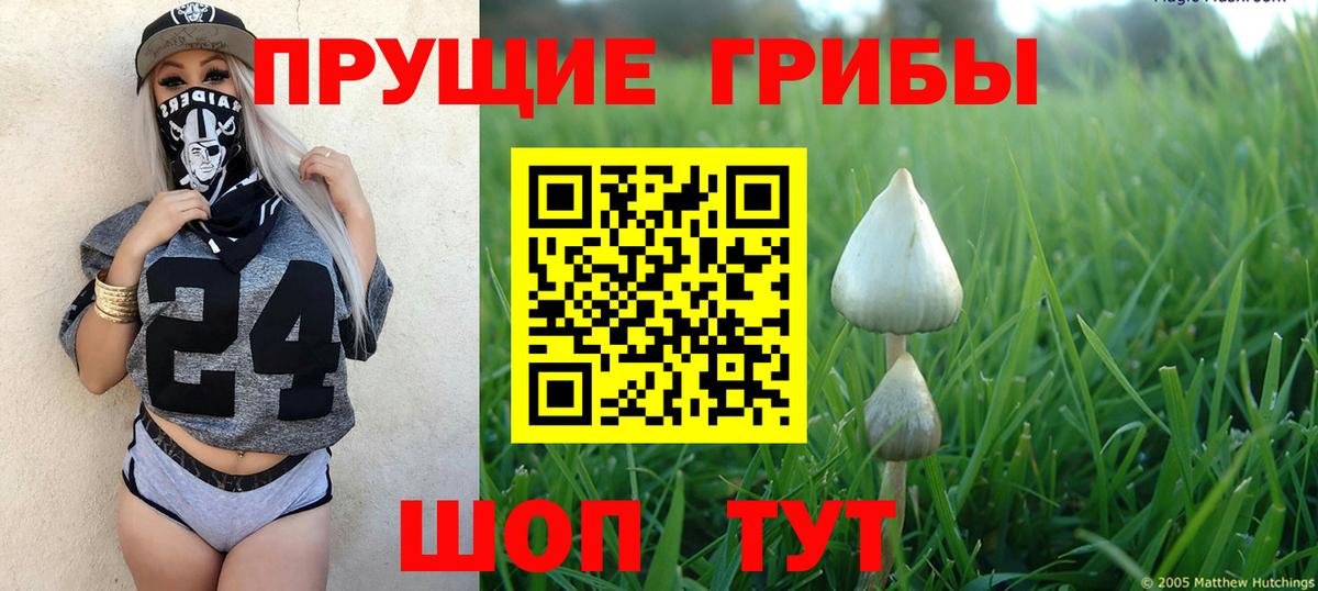 Галлюциногенные грибы Psilocybe  Вход с VPN  Галлюциногенные грибы Magic Shrooms  Узловая 